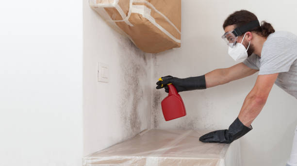 Professional Attic Mold Remediation technician working in Malverne, NY